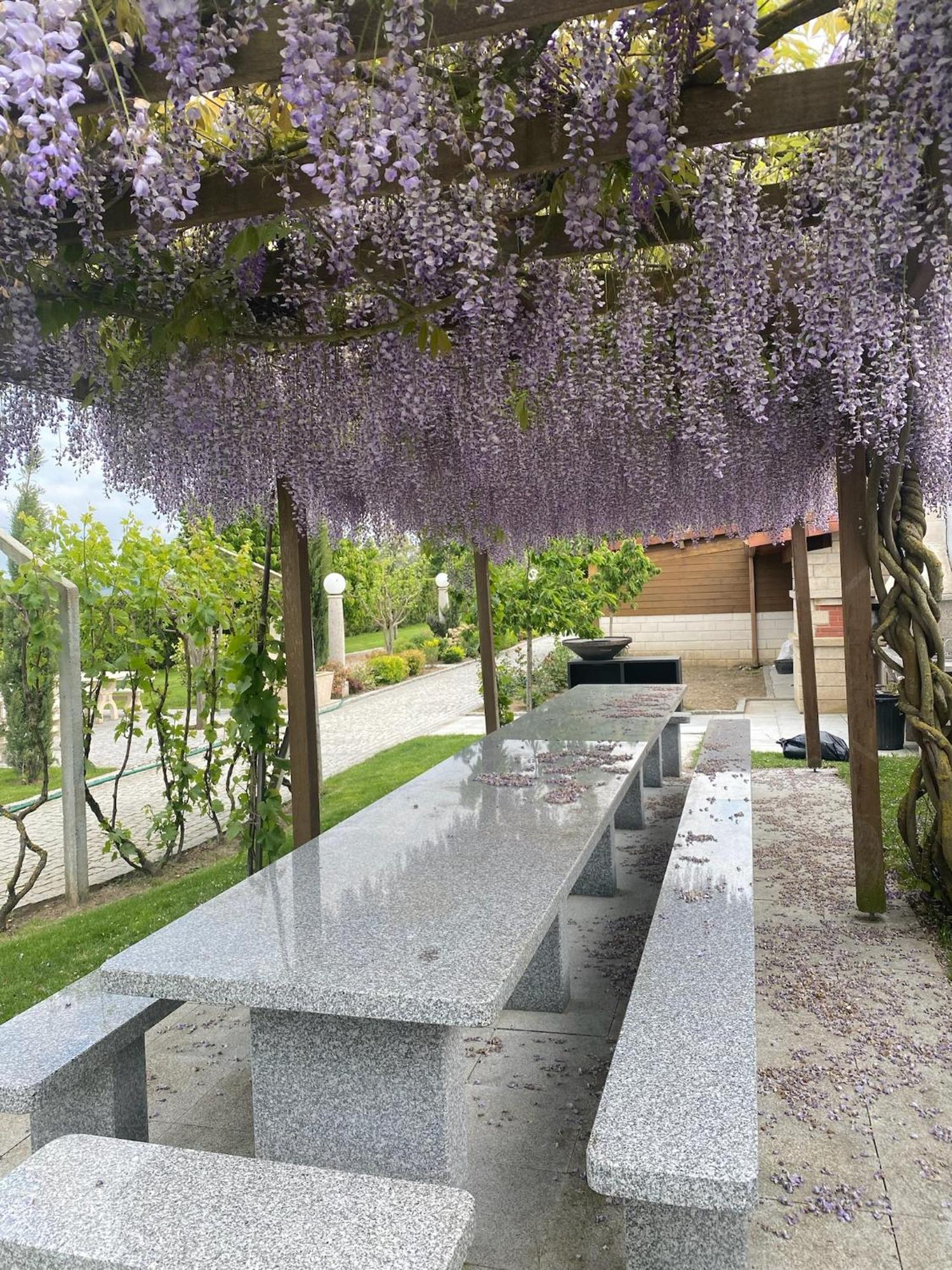 Gites Des Sablons Chatillon-sur-Marne Exterior photo