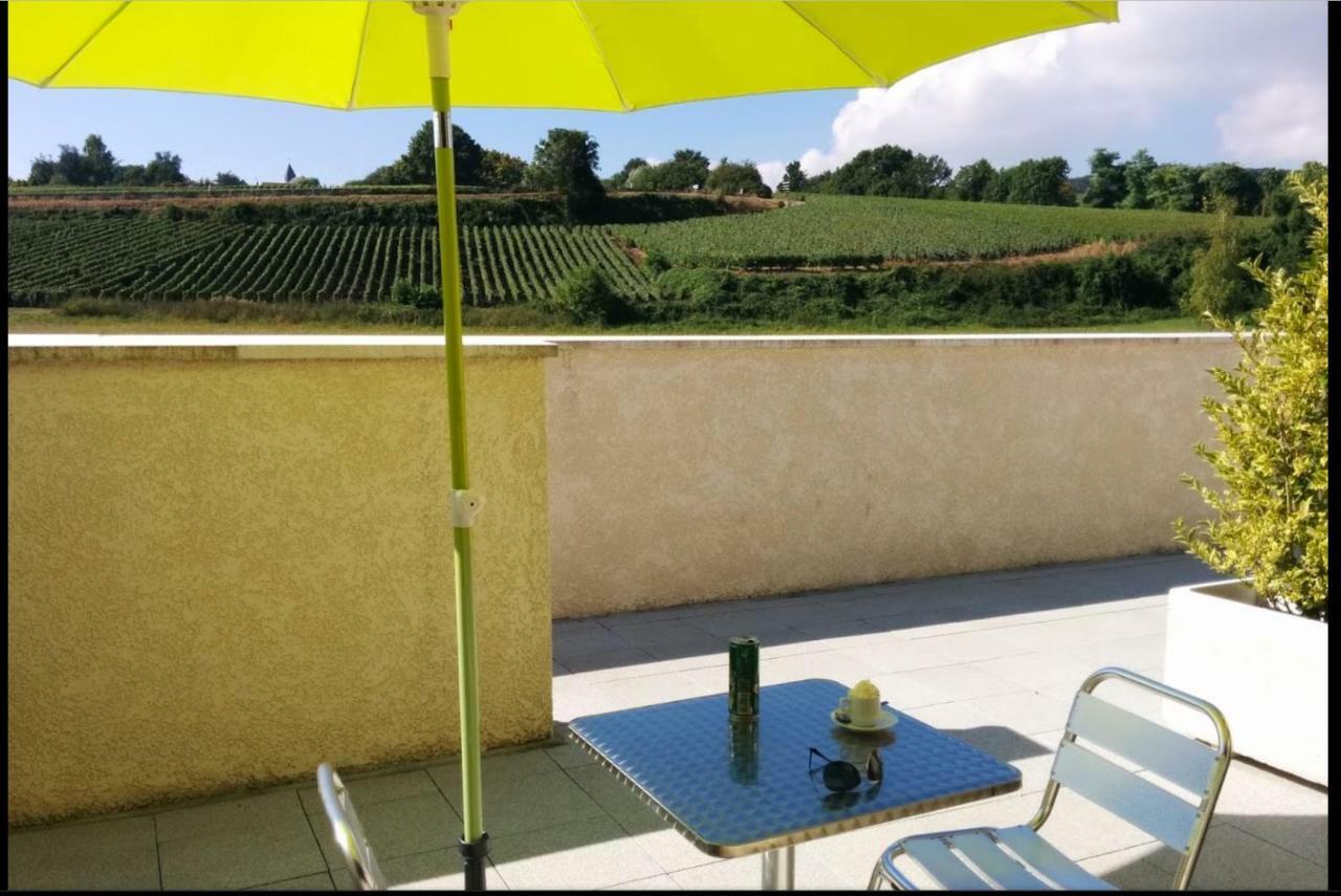 Gites Des Sablons Chatillon-sur-Marne Exterior photo